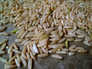 brazowy ryz na make (3)