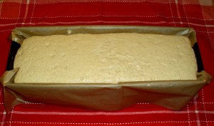 chleb amarantusowy z octem balsamicznym  nieudany (2)