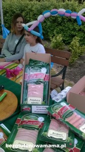 PION moje foty piknik Leszno 2015 (114)