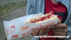 moje foty piknik Leszno 2015 (74)